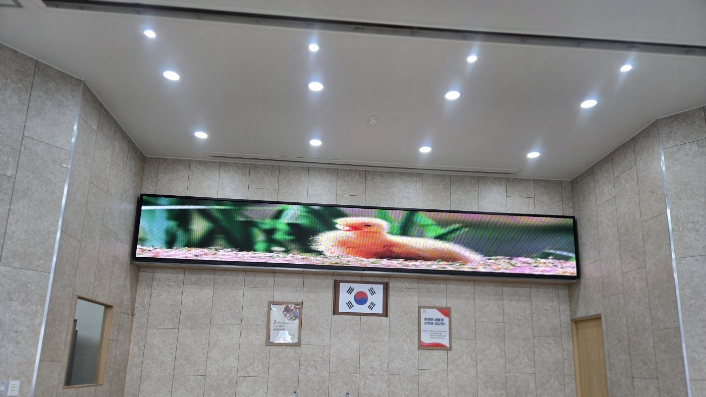 창녕보건소 다목적홀 LED 전광판 설치 현장